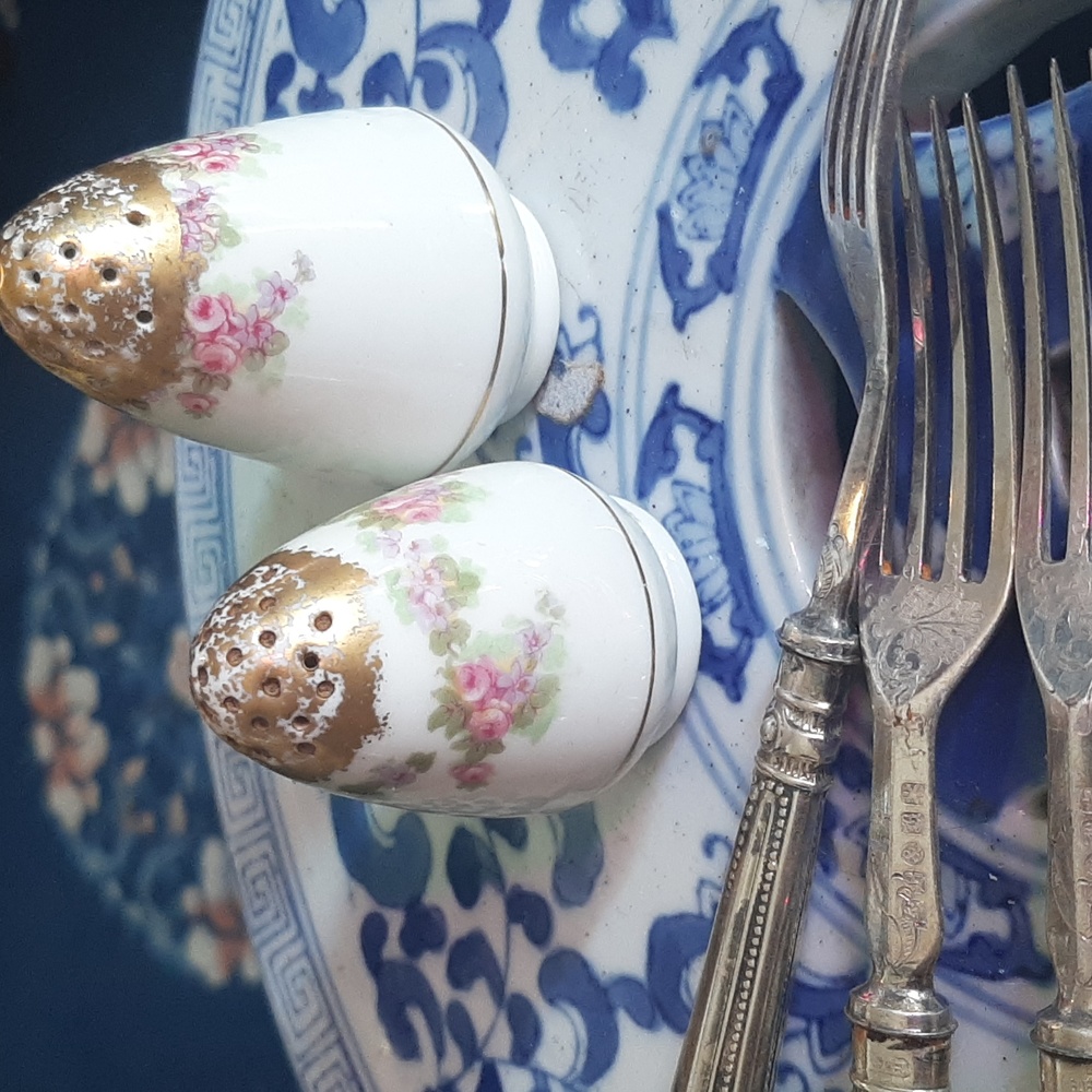 Antique Elite Limoge "Bridal Wreath" salt & Pepper shakers